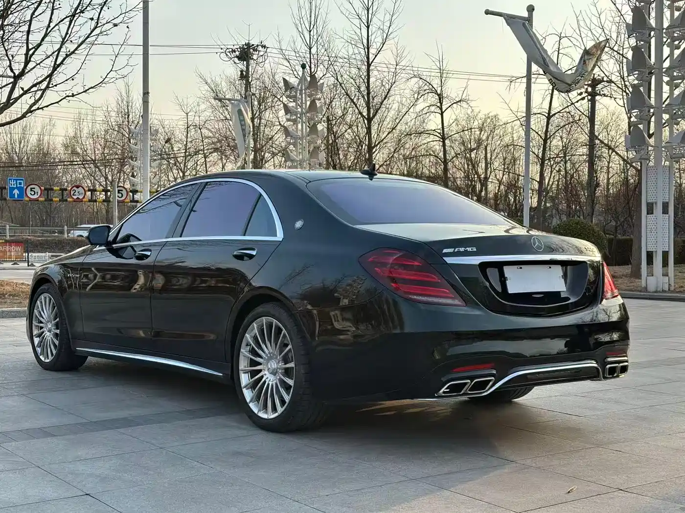 Mercedes-Benz S-Class AMG 2014 AMG S 65 L фото 3