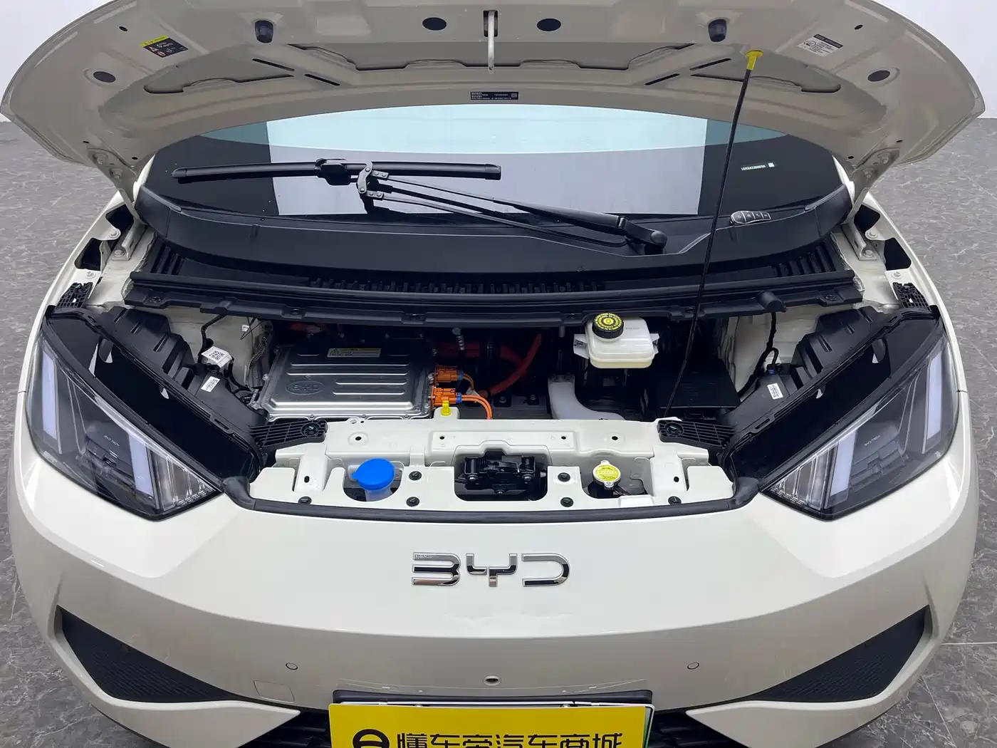 BYD Seagull 2025 Smart Drive Edition 305km Freedom Version фото 18