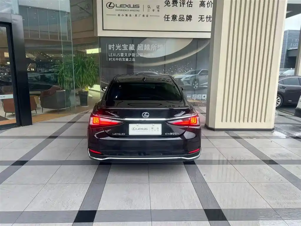 Lexus ES 2020 Model 300h Premium Edition фото 5