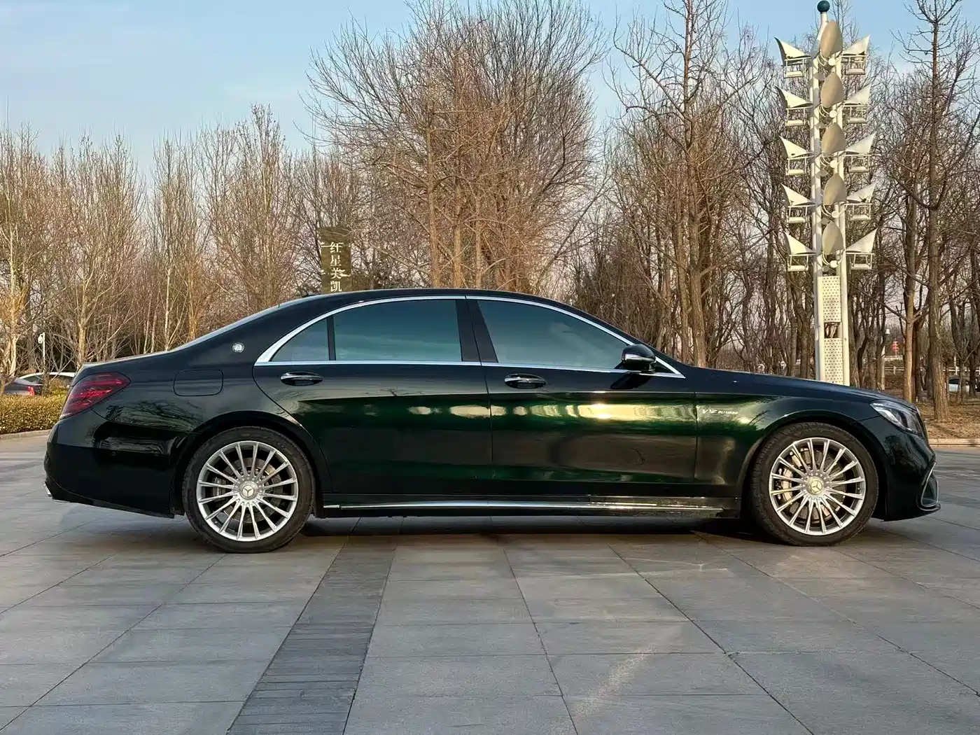 Mercedes-Benz S-Class AMG 2014 AMG S 65 L фото 6