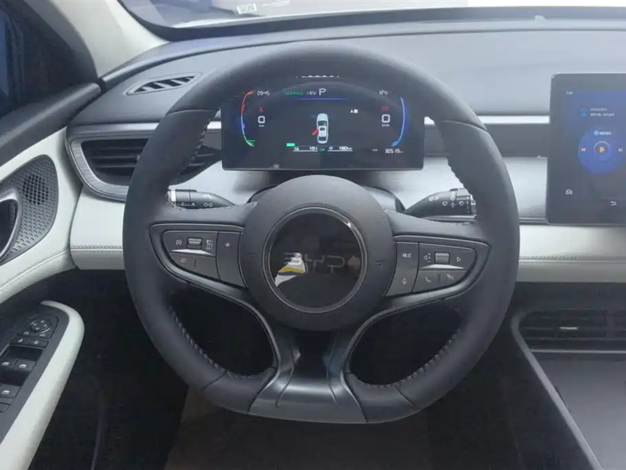 BYD Hai Bao 05 DM-i 2025 DM-i Smart Drive Edition 55KM Luxury фото 15