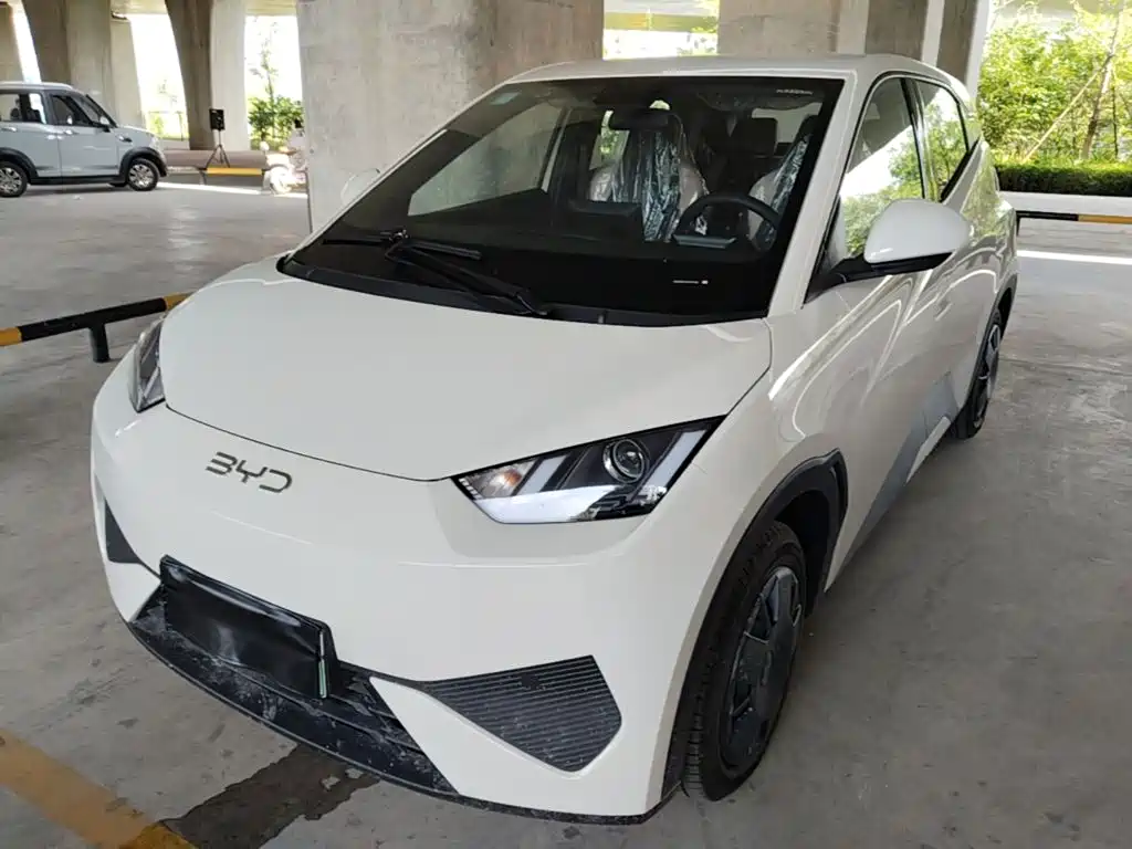 BYD Seagull 2026 2025 Smart Drive Edition 305km Vitality Version