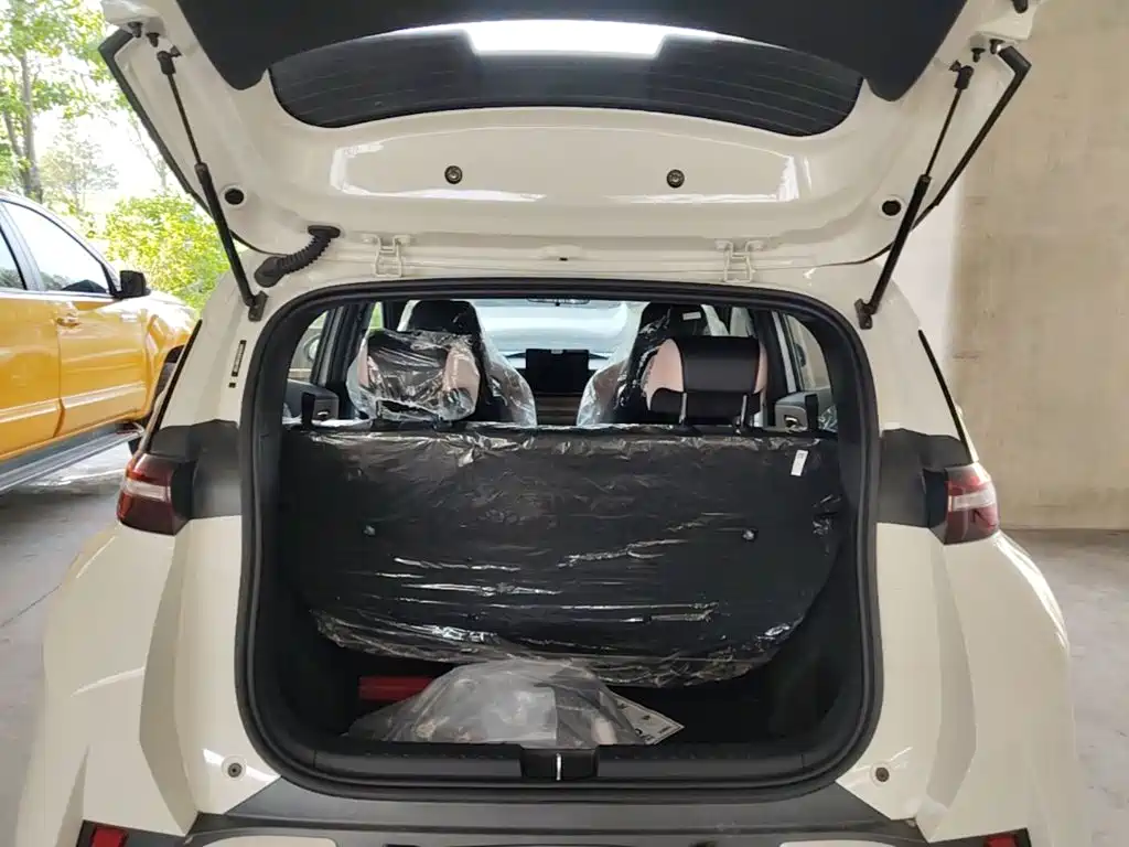 BYD Seagull 2026 2025 Smart Drive Edition 305km Vitality Version