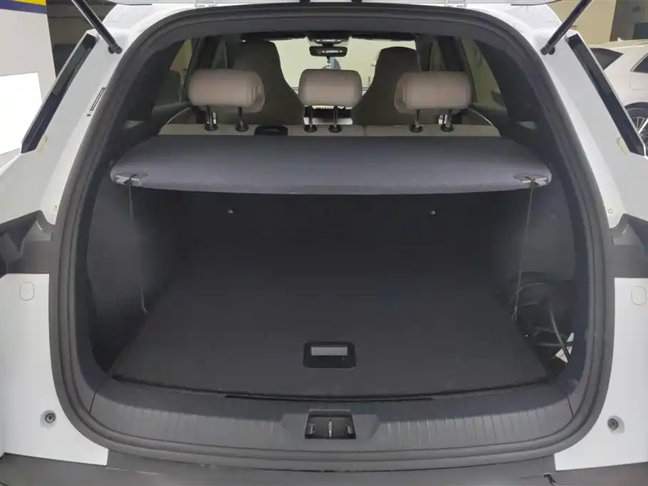 BYD Song Pro New Energy 2024 Glory Edition DM-i 71KM Pilot фото 4