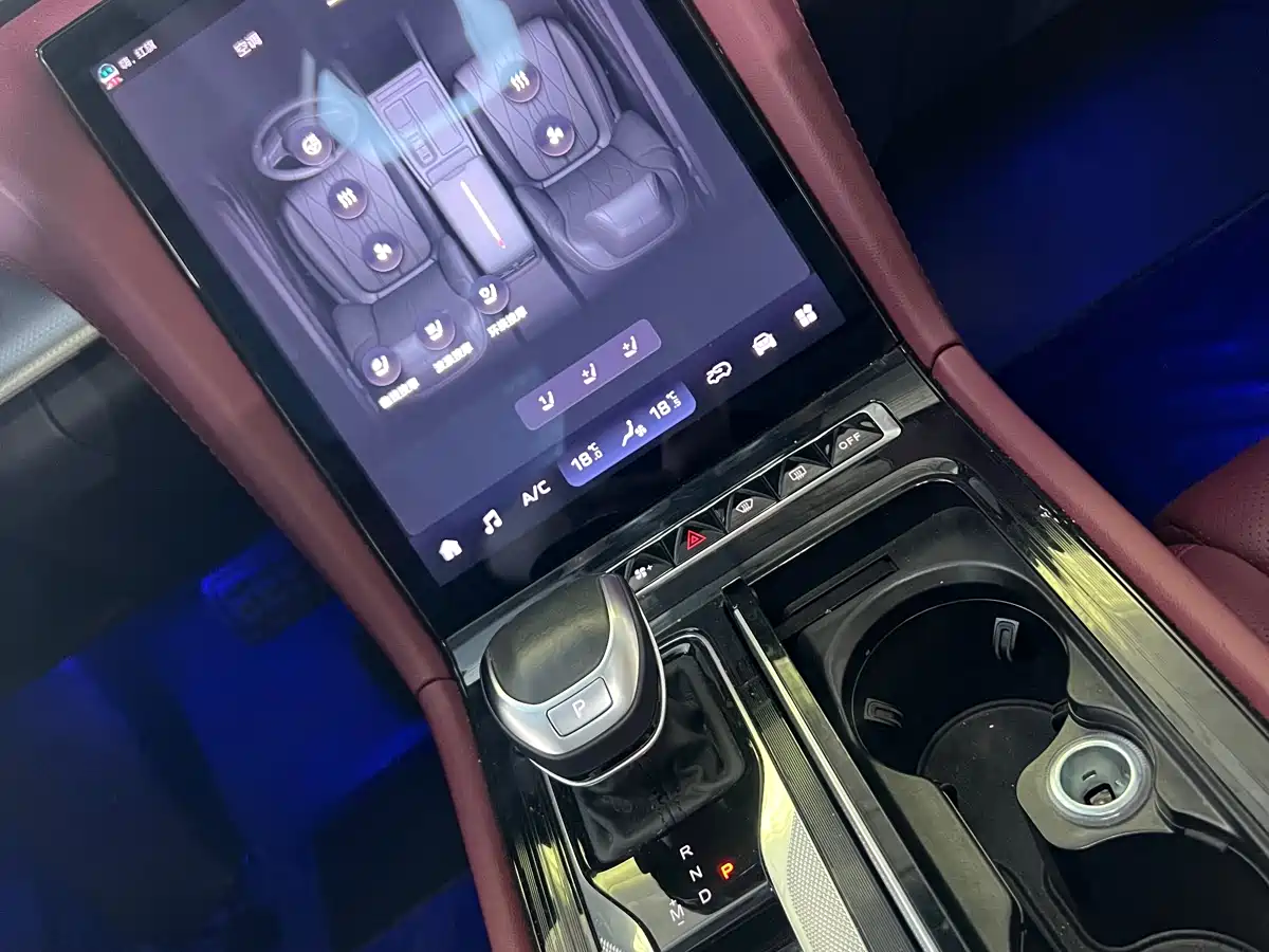 Hongqi H5 2023 2.0T Auto Smart Connect Flagship фото 11