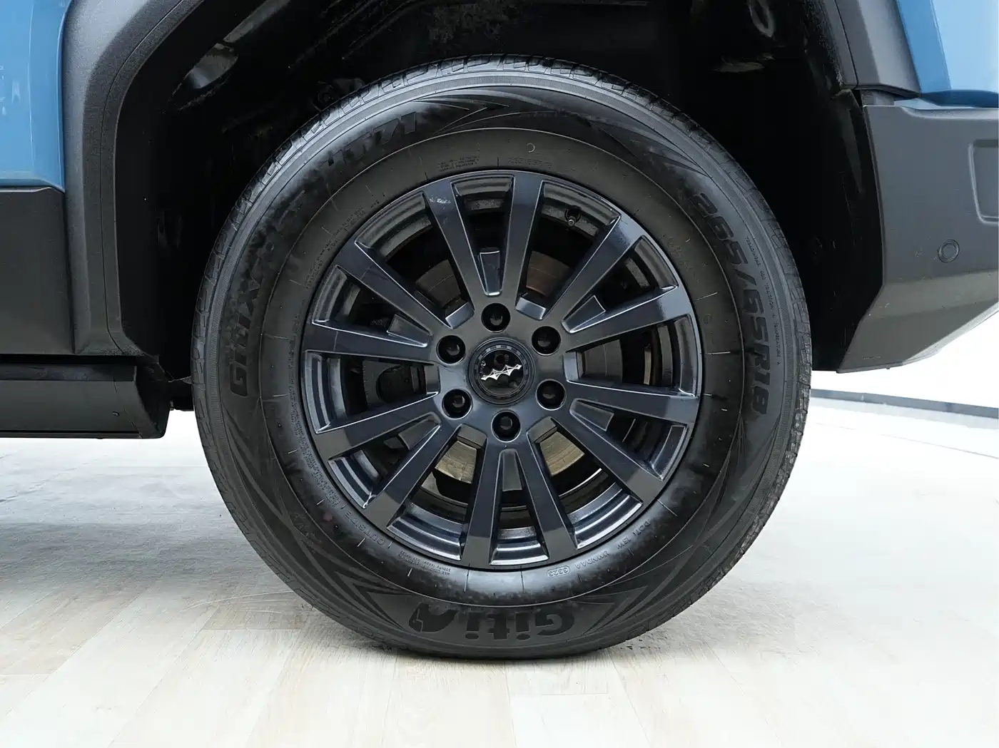 FANG CHENG BAO LEOPARD 5