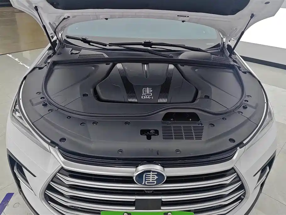 BYD TANGXIN ENERGY