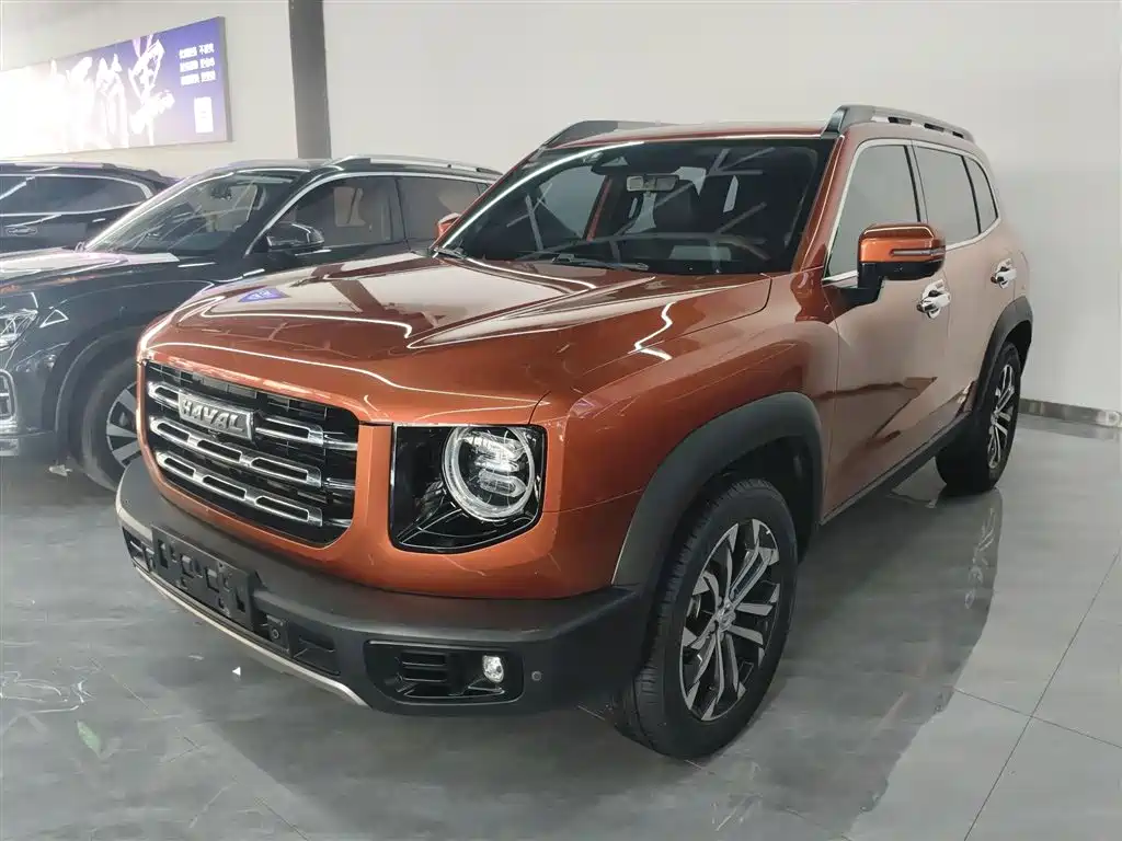 Haval Big Dog 2021 1.5T DCT 2WD Border Collie - Wangcai Edition