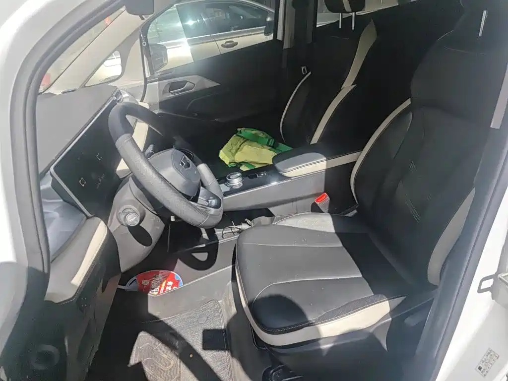 Photo 11 - Geely Geometry E Firefly