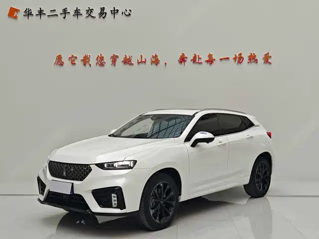 WEI PAI WEI BRAND VV7