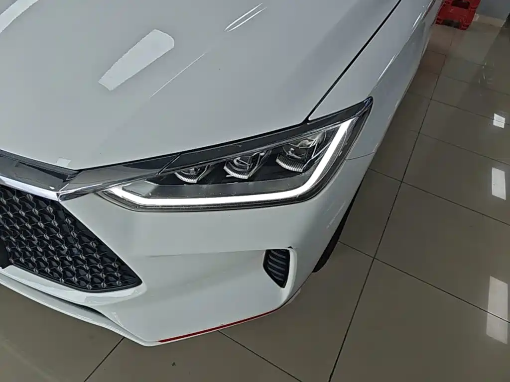 BYD e2 2021 2021 Premium Model