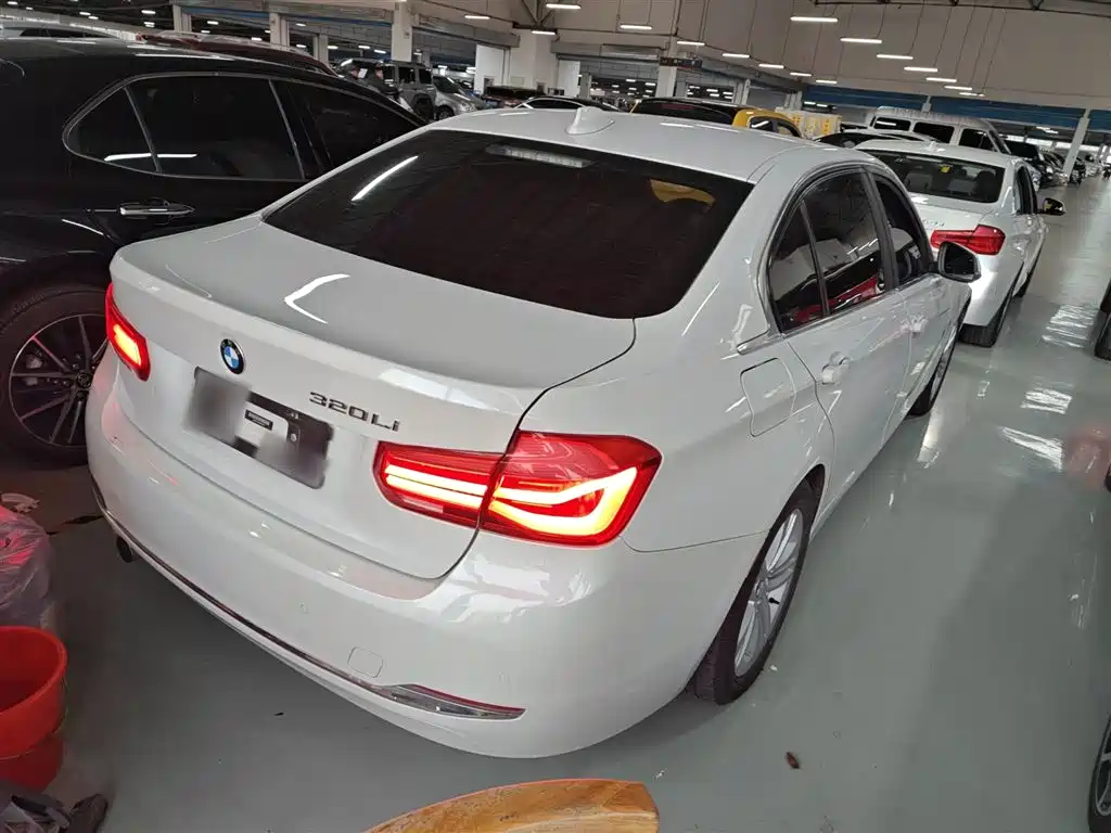 BMW 3 Series 2016 320Li Progressive фото 5