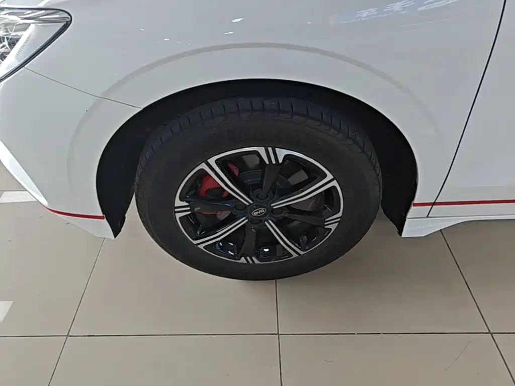 BYD e2 2021 2021 Premium Model