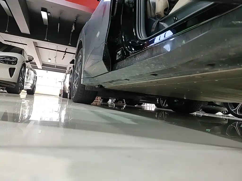 Lynk & Co Z20 2025 2025 530km RWD Pro