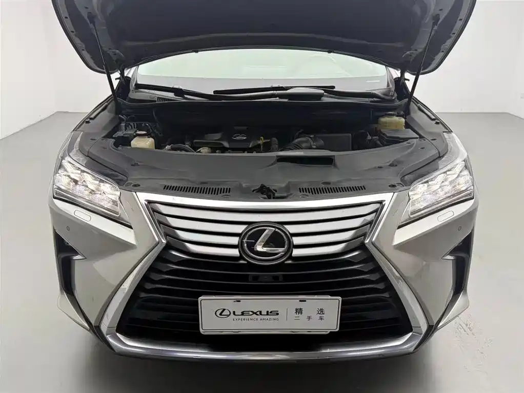 Lexus RX 2016 300 4WD Elegance Edition (China V) фото 3