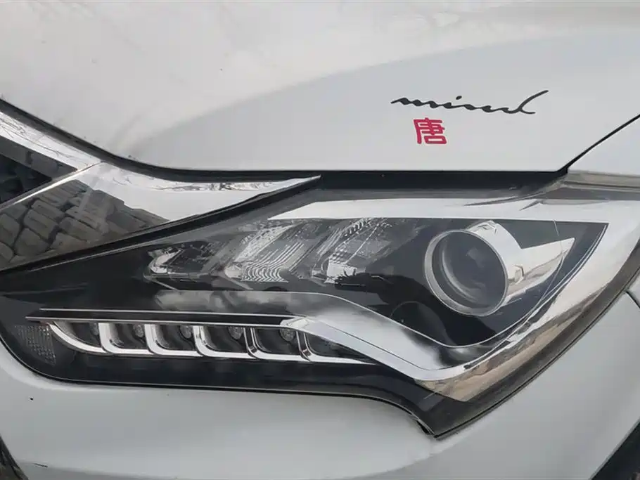BYD Tang New Energy 2015 2.0T 4WD Flagship фото 5