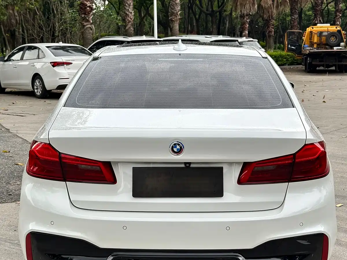 BMW 5 Series 2020 530Li Exclusive M Sport Package фото 8