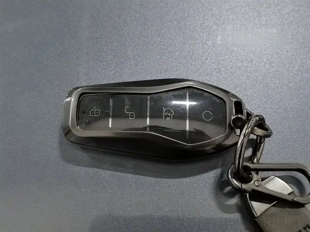 BYD SONGJIANG NEW ENERGY