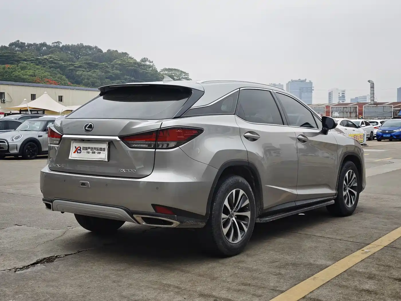 Lexus RX 2020 Facelift 300 2WD Comfort Edition фото 7