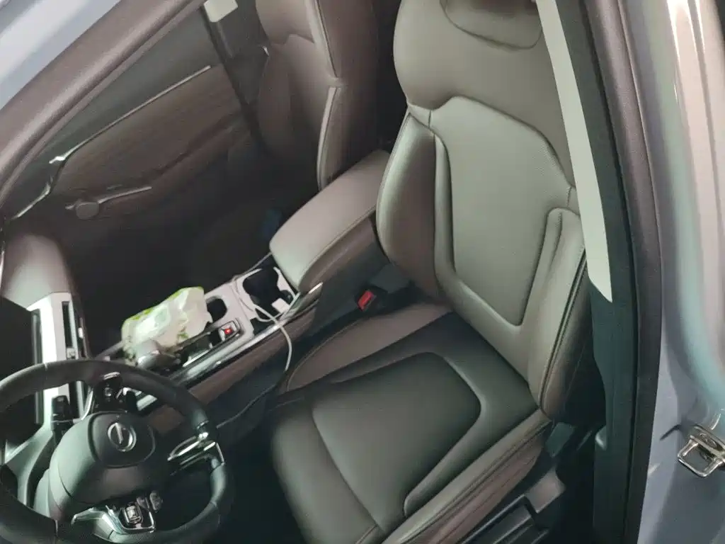 GAC Trumpchi GS4 2025 2024 MAX 1.5T Pilot Edition