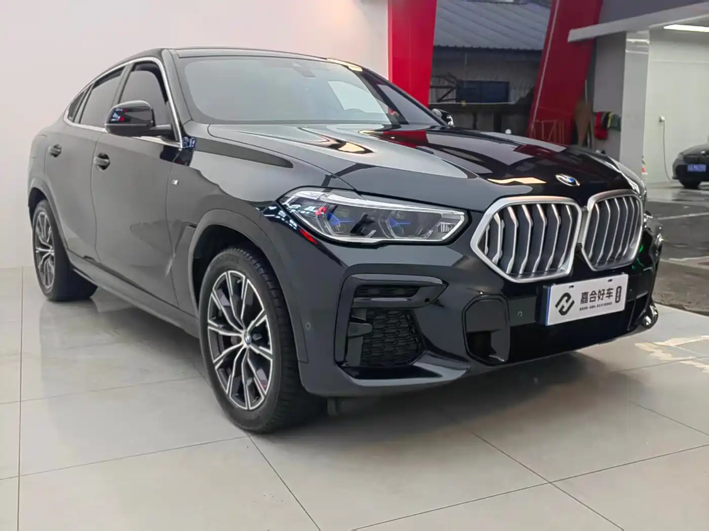 BMW X6