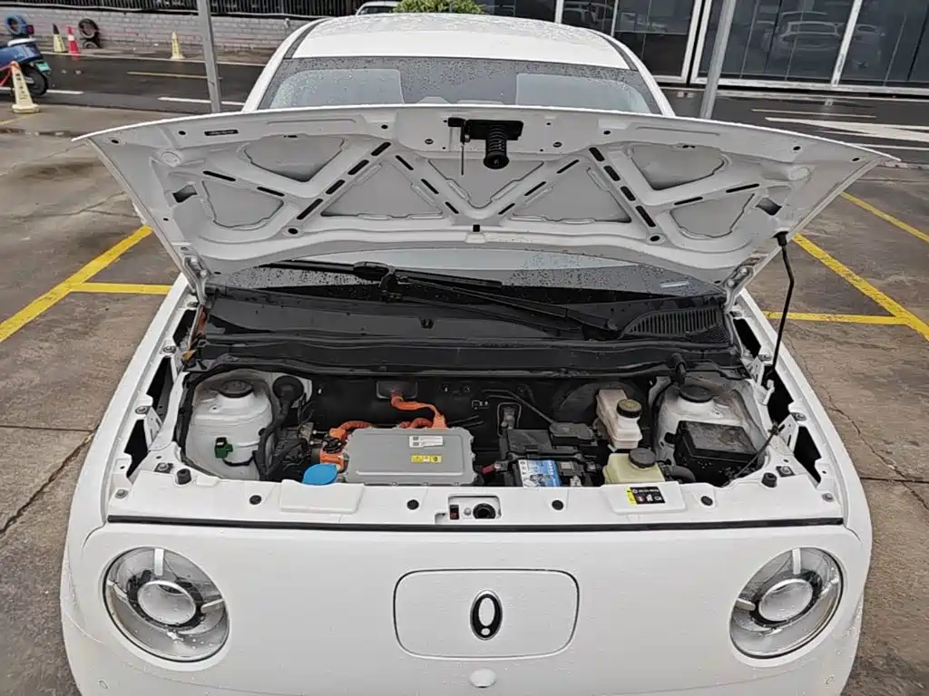 Ora Black Cat 2022 2022 351km Luxury (NMC)