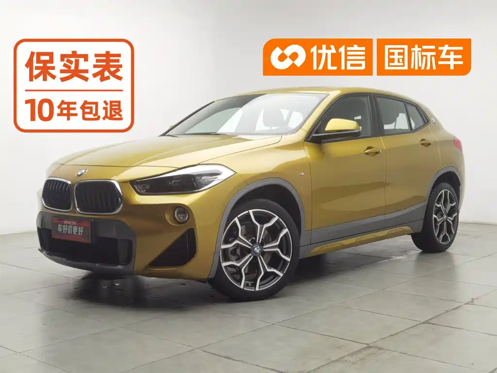 BMW X2 (Import) 2018 2018 sDrive25i Luxury M Off-Road Package China V