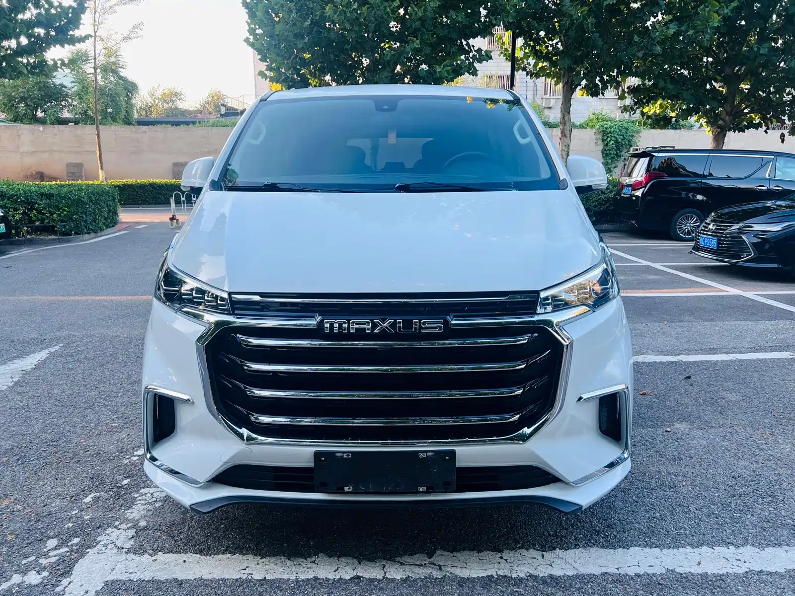 Фото 2 - Maxus G20