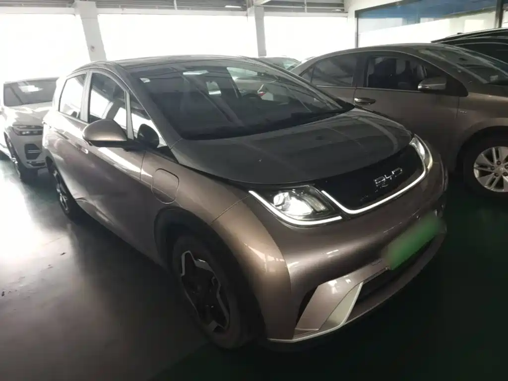 BYD Dolphin 2021 2021 Model 405km Fashion Edition