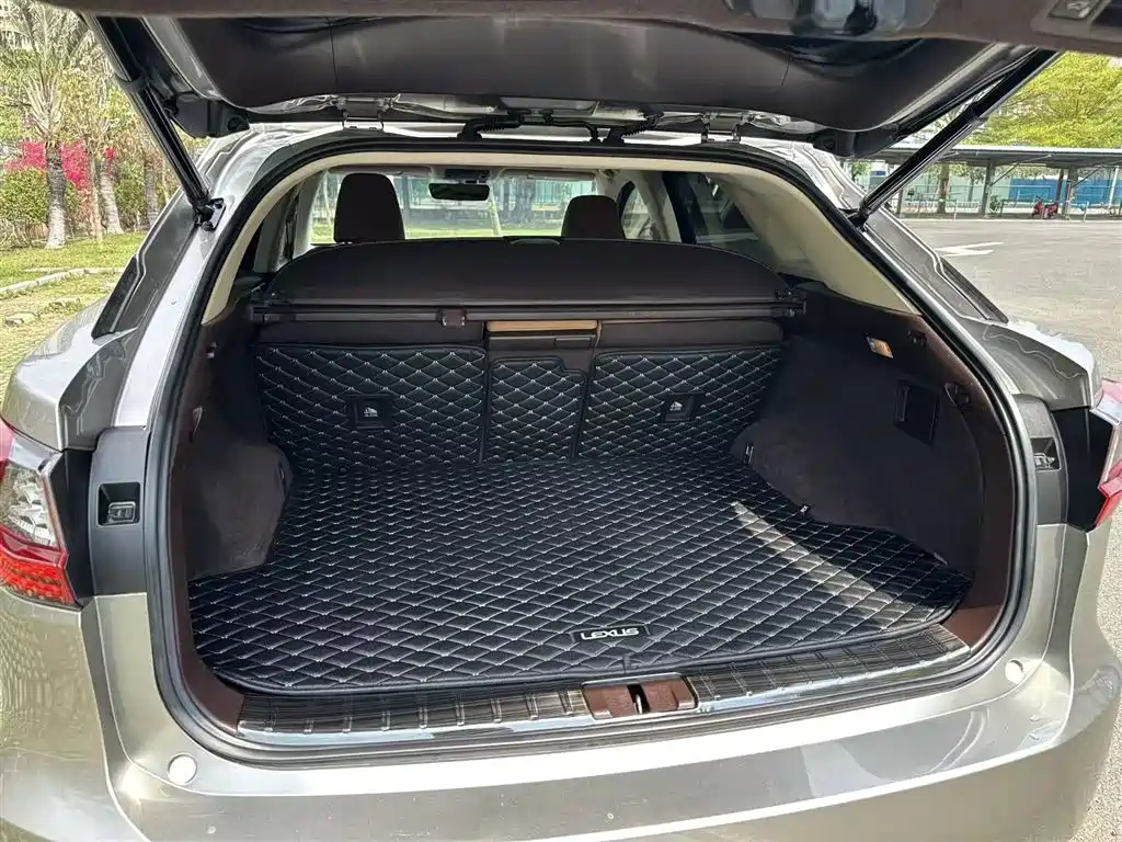 Lexus RX 2016 300 4WD Elegance Edition (China V) фото 21