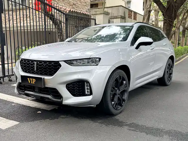 WEI PAI WEI BRAND VV7