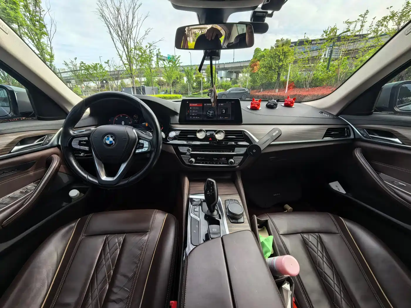 BMW 5 Series 2019 530Li Leading Luxury Package фото 8