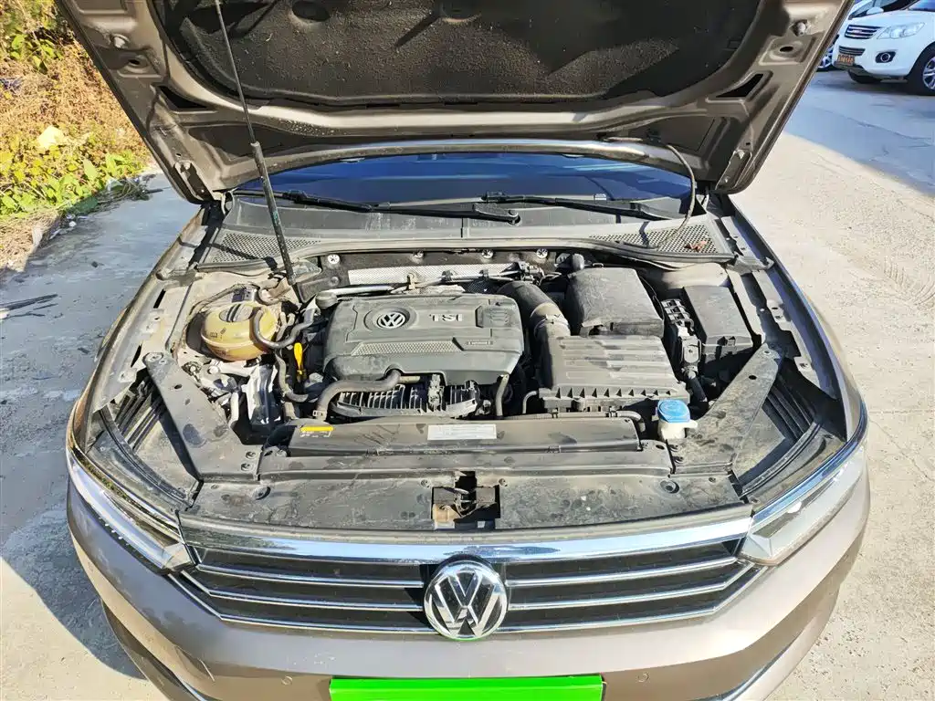 Volkswagen Magotan 2018 330TSI DSG Luxury фото 19
