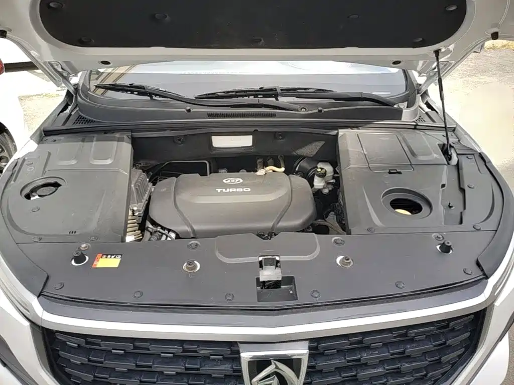 Baojun 530 2021 2021 Global Anniversary Edition 1.5T CVT Luxury 6-seater