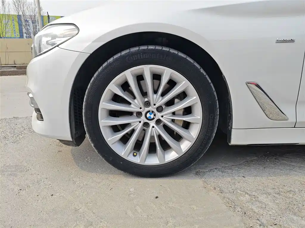 BMW 5 Series 2018 Facelift 530Li Leading Luxury Package фото 23