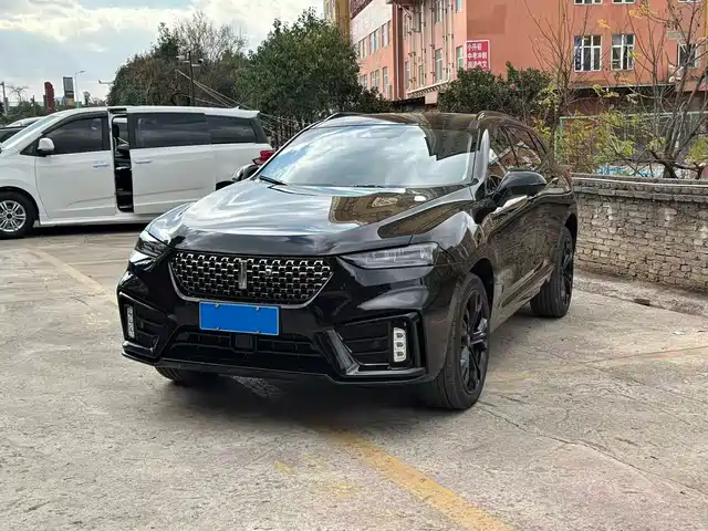 WEI PAI WEI BRAND VV7