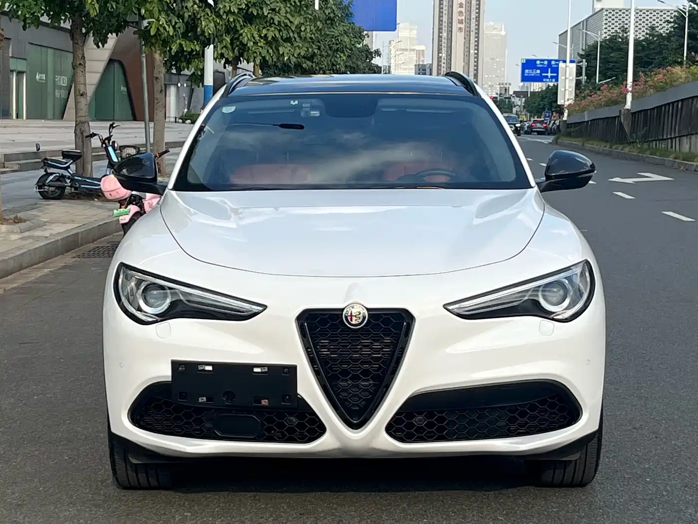 Alfa Romeo Stelvio 2021 2020 2.0T 280HP Luxury Edition