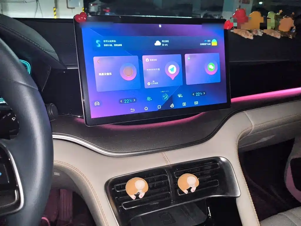 BYD Song PLUS PHEV 2021 DM-i 110KM Flagship PLUS фото 6