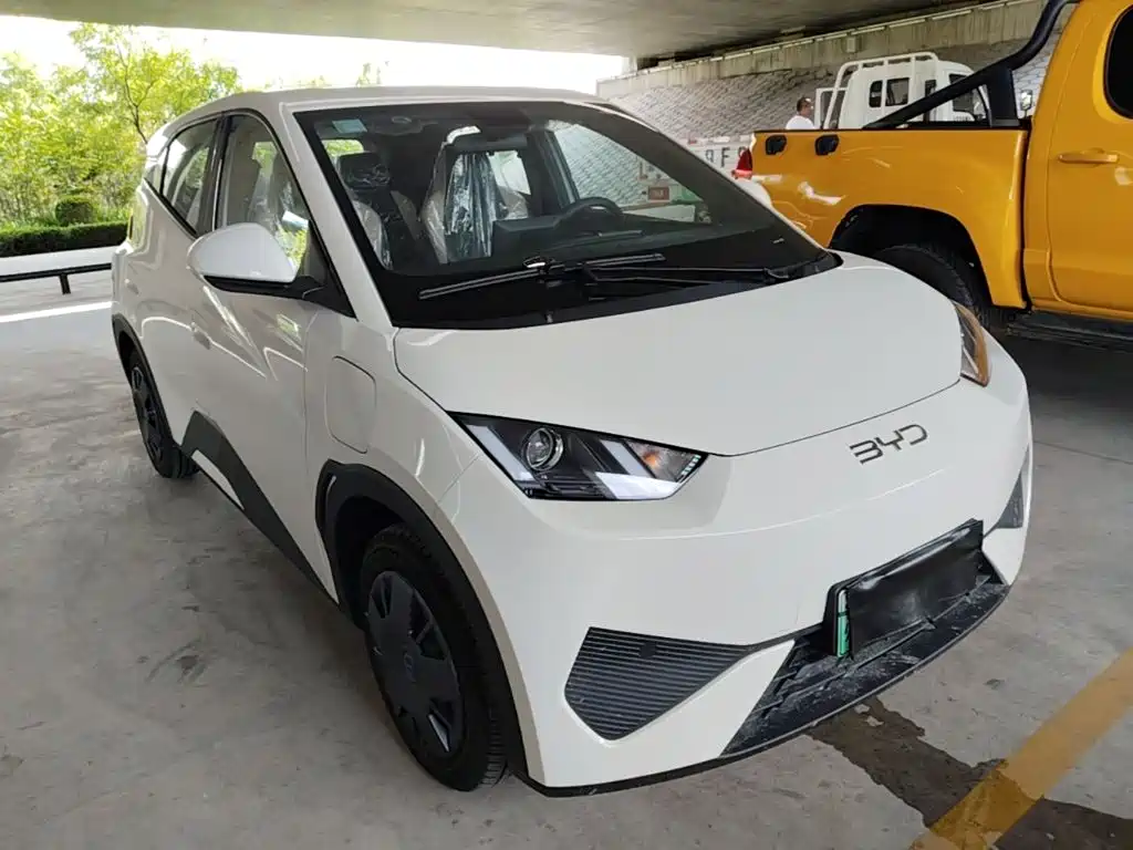 BYD Seagull 2026 2025 Smart Drive Edition 305km Vitality Version