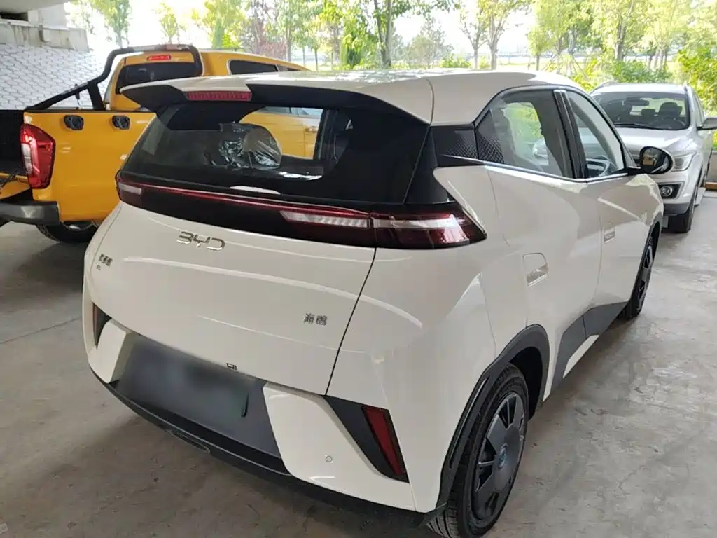 BYD Seagull 2026 2025 Smart Drive Edition 305km Vitality Version