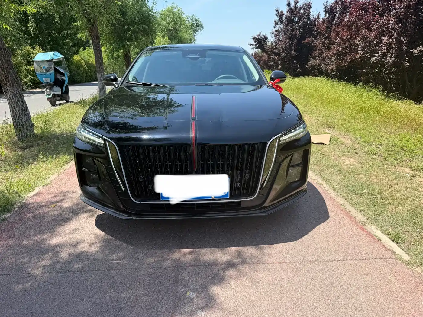 Hongqi H5 2025 2.0T Automatic Mystic Shadow фото 2