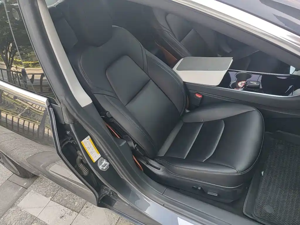 Tesla Model 3 2020 2020 Standard Range Rear-Wheel Drive Upgrade