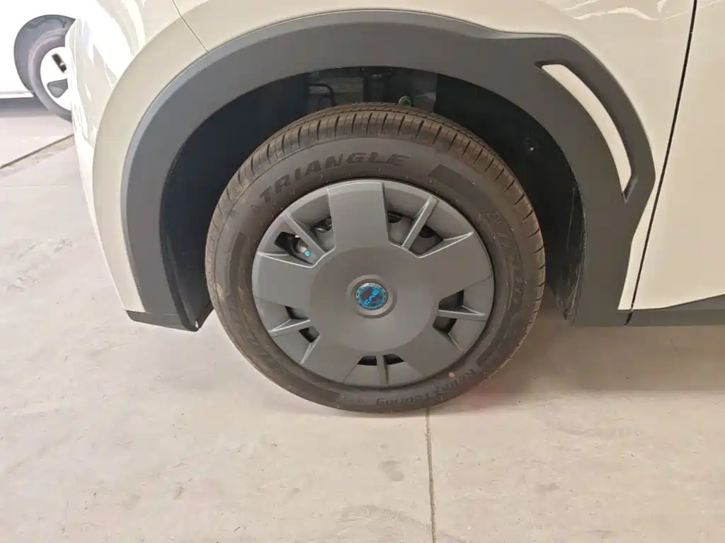 BYD Seagull 2026 2025 Smart Drive Edition 305km Vitality Version
