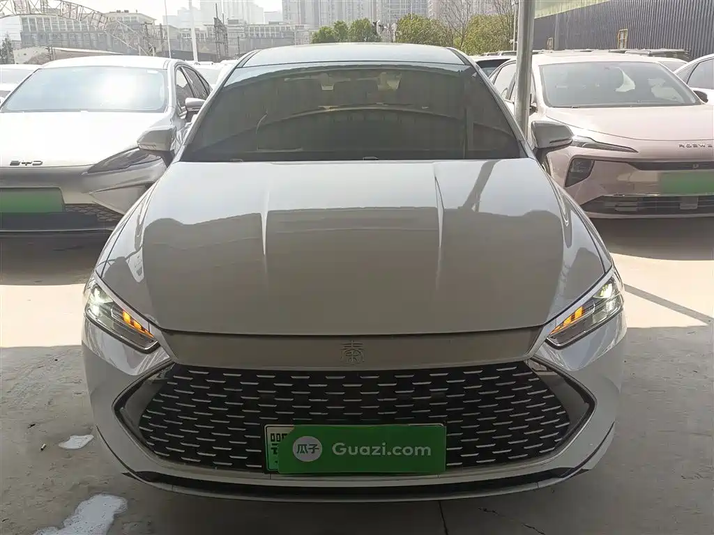 BYD Qin PLUS 2024 Glory Edition DM-i 55KM Leading фото 3