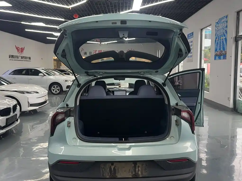 Geely Geometry E Firefly 2022 2022 320KM Well-behaved Tiger 4-seater