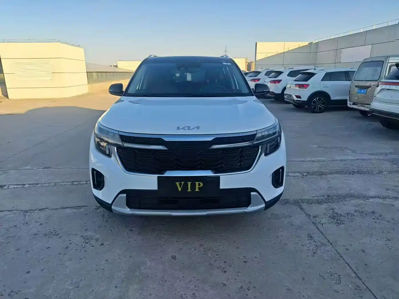 Kia Seltos 2024 2023 1.5L CVT Luxury Edition