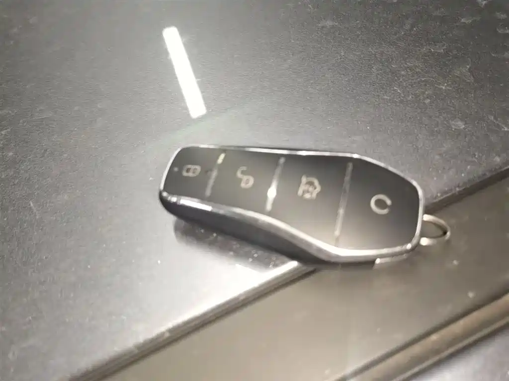 BYD Qin PLUS 2025 DM-i Smart Drive 55KM Leader фото 9