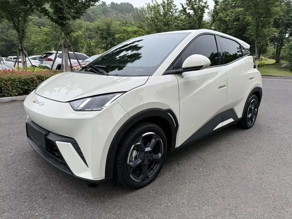 BYD Seagull 2023