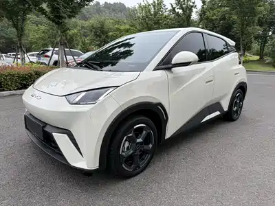 BYD Seagull