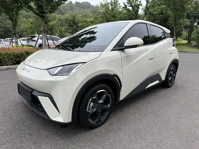BYD Seagull Свобода